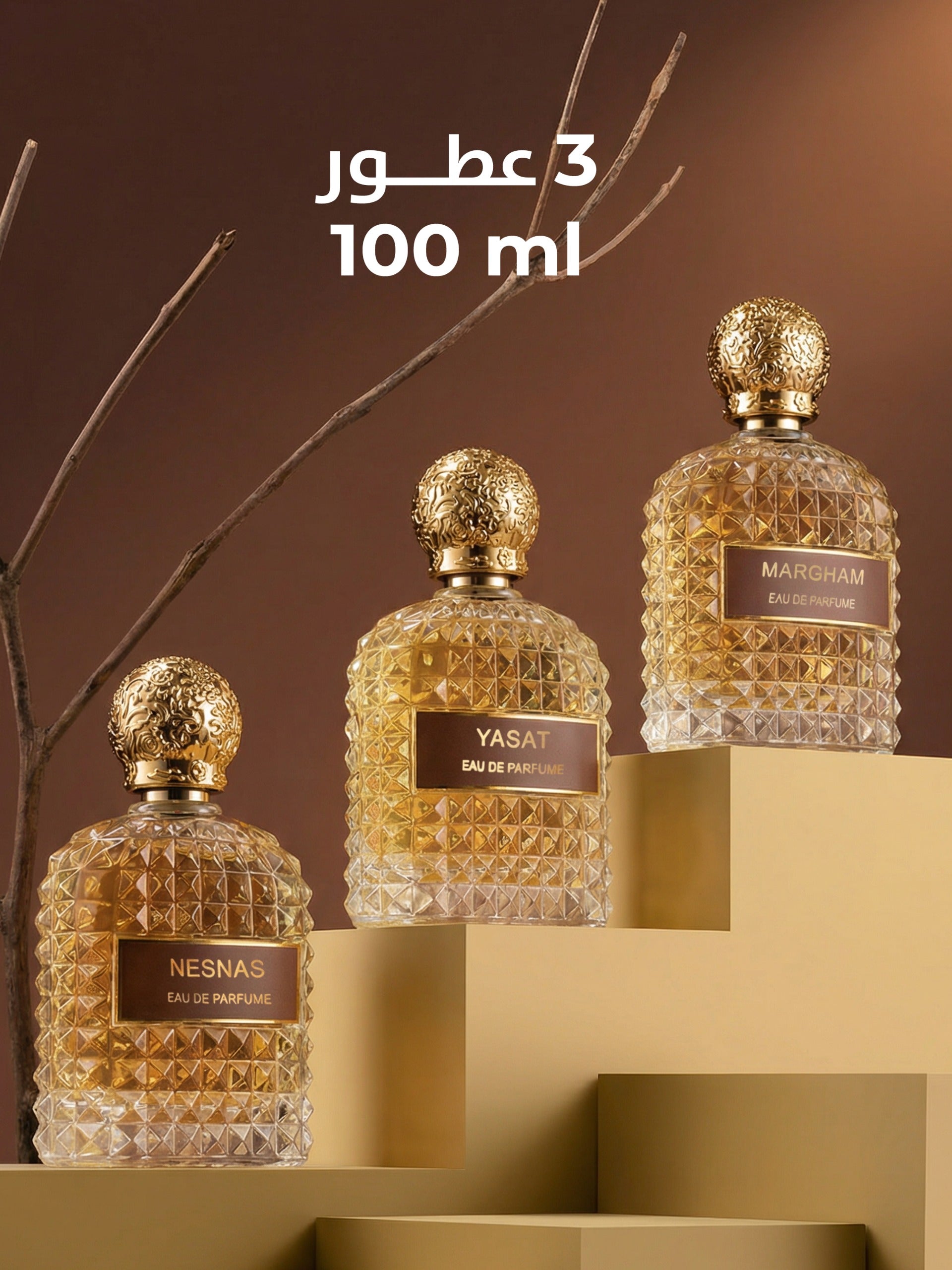 BADOO Collection – 3 Perfumes 100ml
